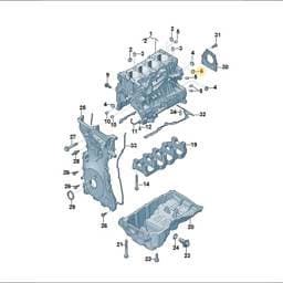 WHT010577 Volkswagen Sealing Plug