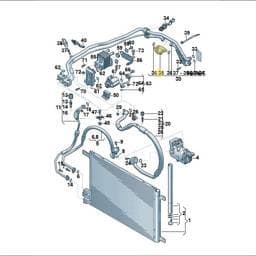 8R0260696B Volkswagen A/C Shut-Off Valve