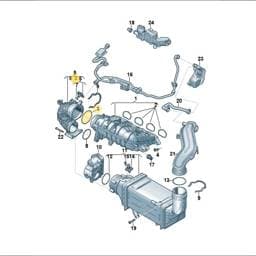 WHT003247 Volkswagen Seal Ring