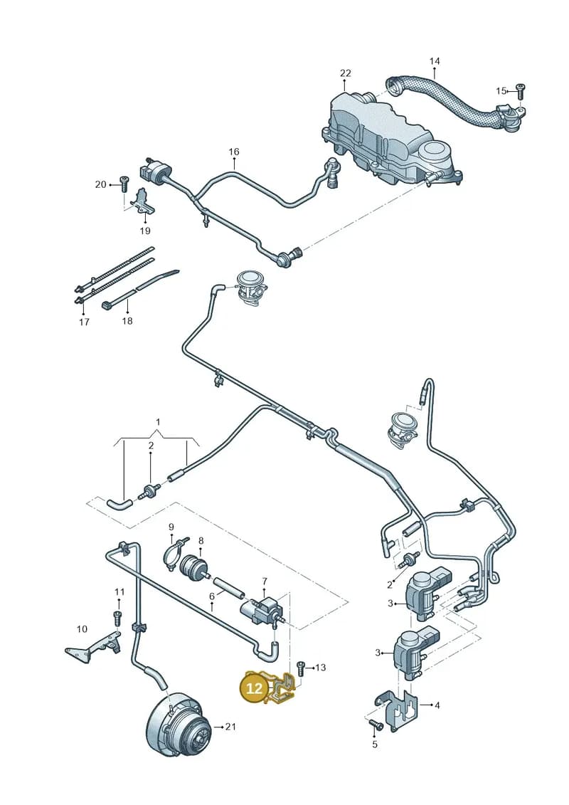 03H131561G — Audi Q6 (2022-) diagram 809133015, position 12