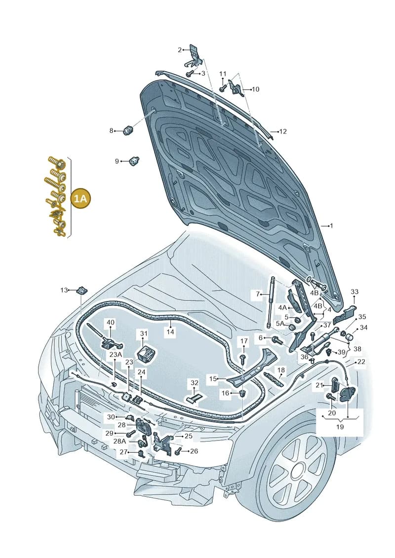 4H0098615 — Audi A8 (2013-2018) diagram 696823000, position 1A