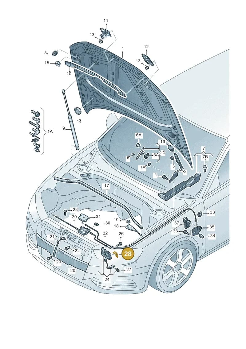 4H0823188 — Audi RS3 Sportback (2015-2016) diagram 745823000, position 28