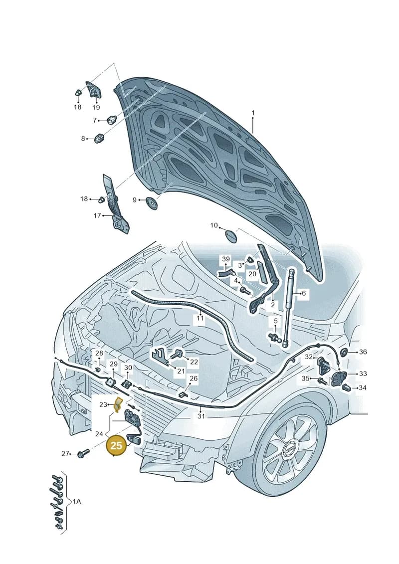 4H0953236 — Audi A6 (2014-2018) diagram 798823000, position 25