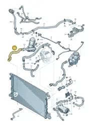 4N0122055A Audi Coolant Hose with Quick Release Coupling