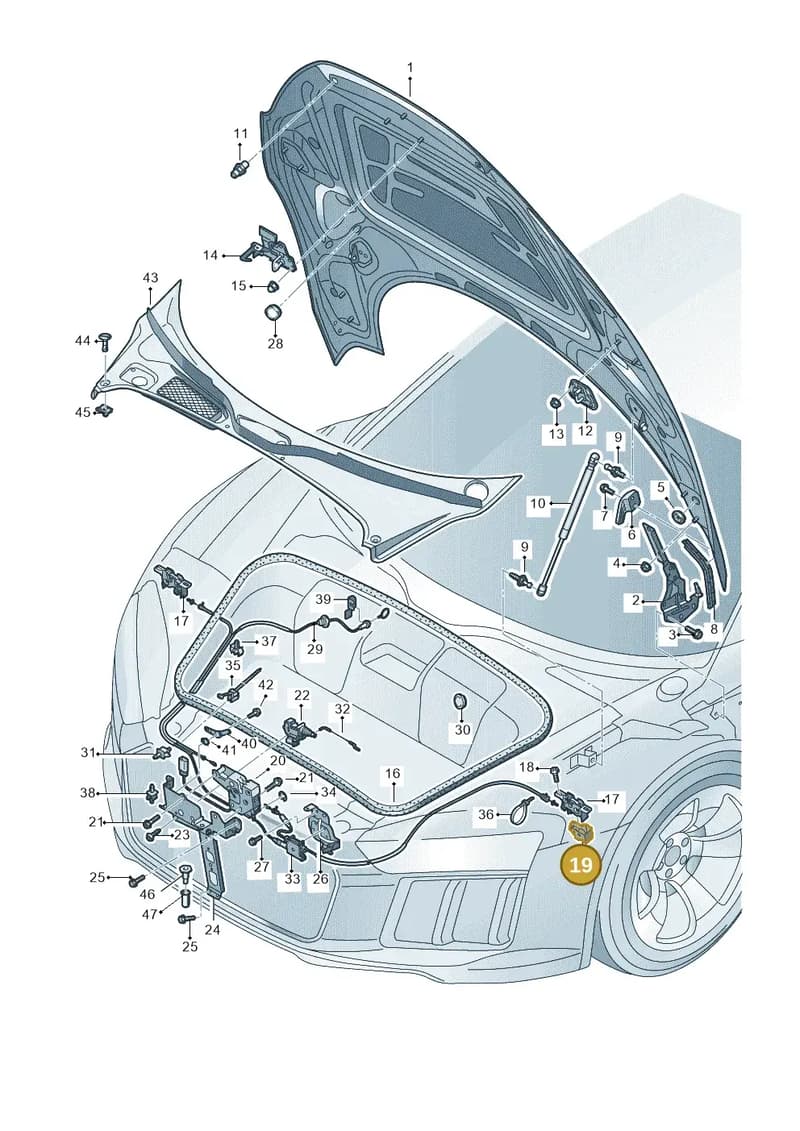 4S0823447 — Audi R8 Spyder (2015-2024) diagram 872823000, position 19