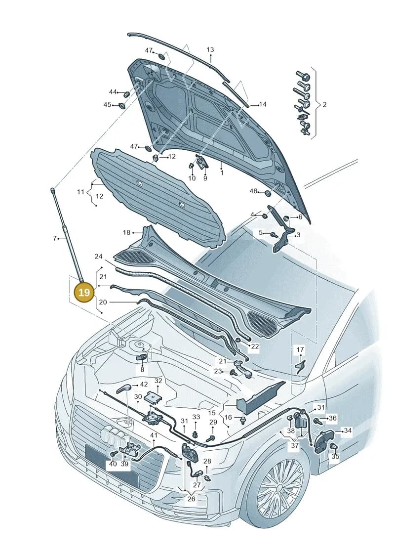81A806239 — Audi Q2 (2016-2025) diagram 803823000, position 19