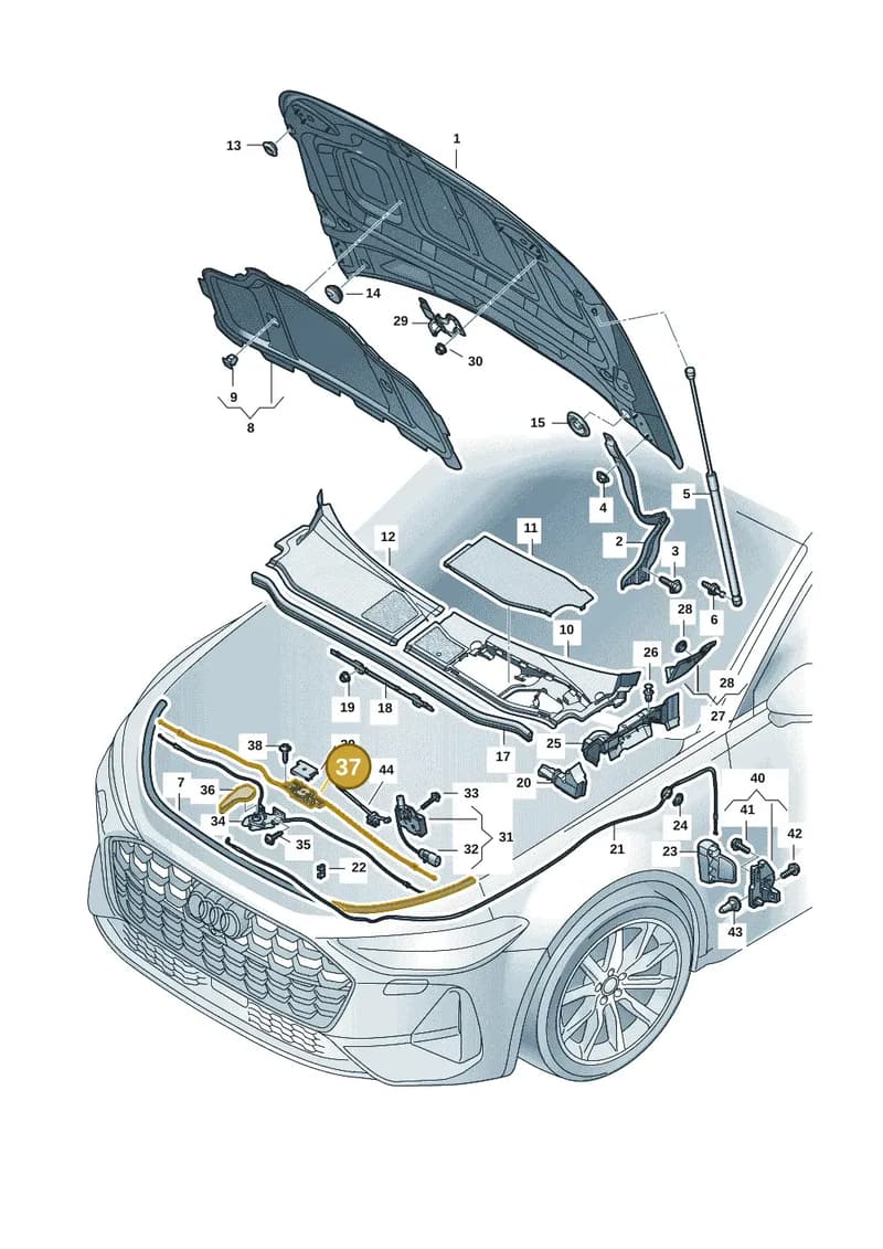 8B3823531 — Audi A5 Limousine (2024-2025) diagram 8wk823000, position 37