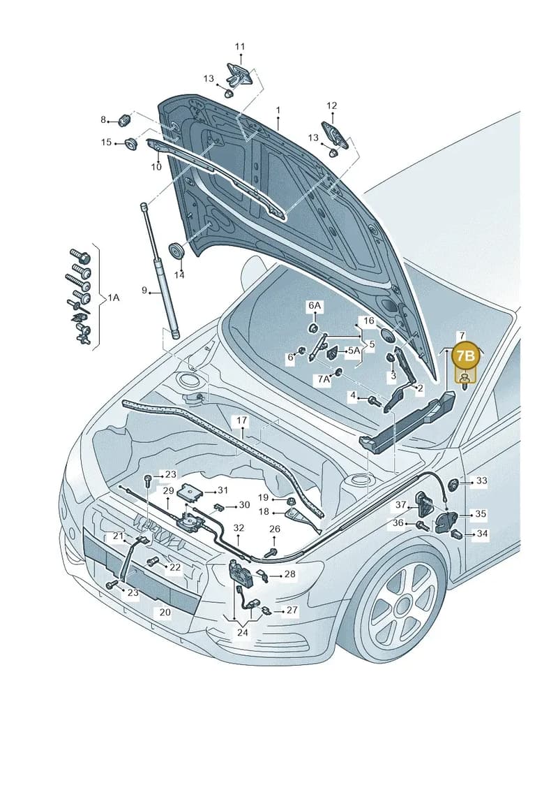 8V0805163 — Audi RS3 Sportback (2015-2016) diagram 745823000, position 7B