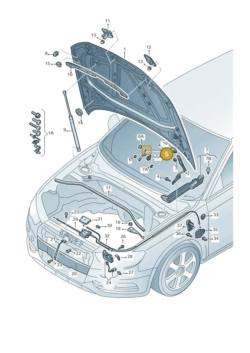 8V0823823F — Audi A3 Sportback (2012-2016) diagram 745823000, position 5