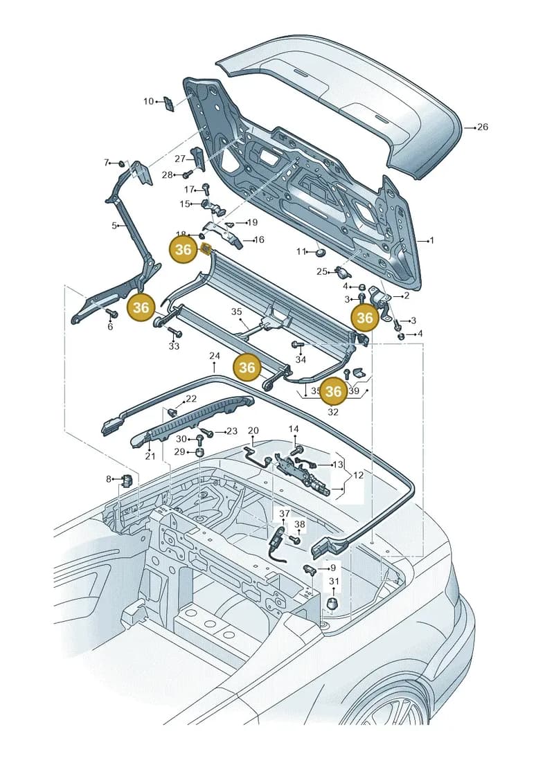 8V7898162 — Audi A3 Cabriolet (2016-2020) diagram 778825500, position 36