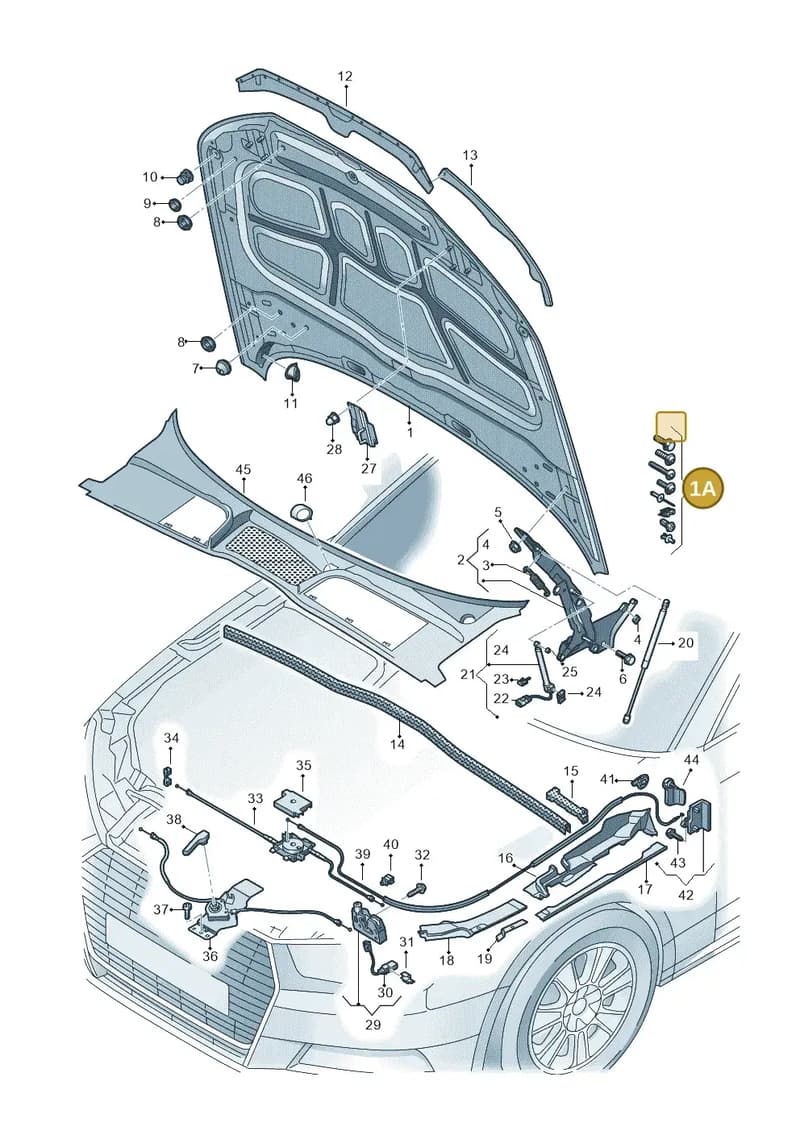 8W0098615A — Audi A4 (2015-2025) diagram 849823000, position 1A