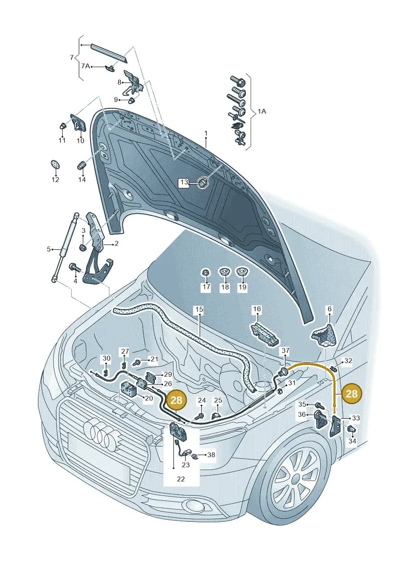 8X0823535 — Audi A1 Sportback (2014-2018) diagram 708823000, position 28