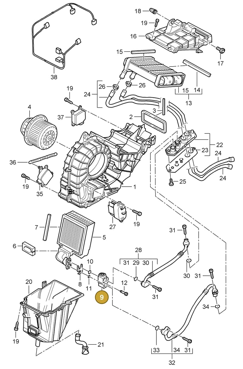 95557231911 — Porsche Cayenne (2002-2006) diagram p24813050, position 9