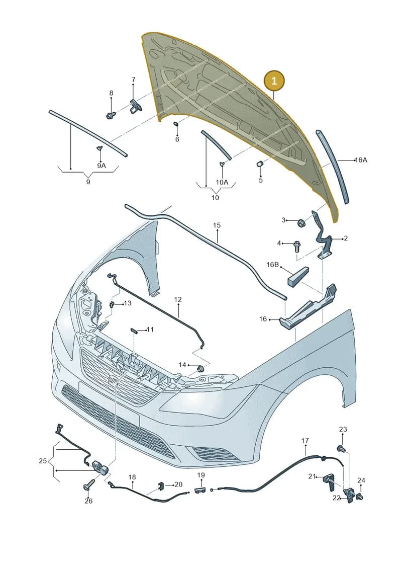 5F0823031B — SEAT Leon ST (2012-) diagram 754823000, position 1