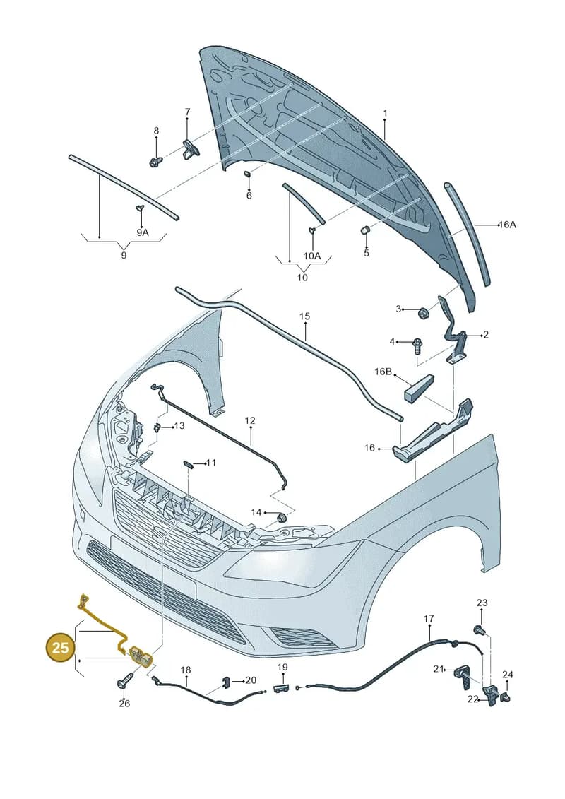 5F0823509D — SEAT Leon ST (2016-2020) diagram 754823000, position 25