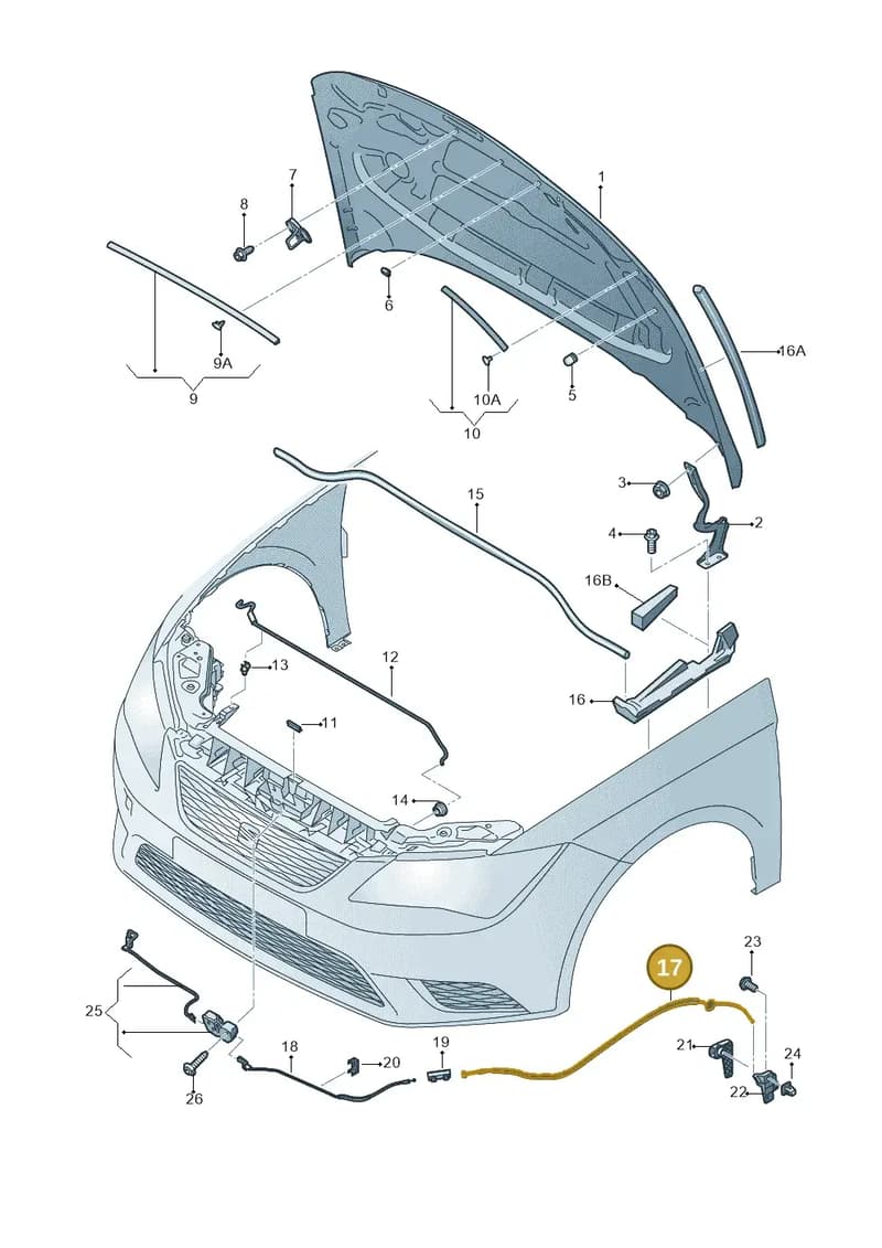 5F0823535B — SEAT Leon ST (2016-2020) diagram 754823000, position 17