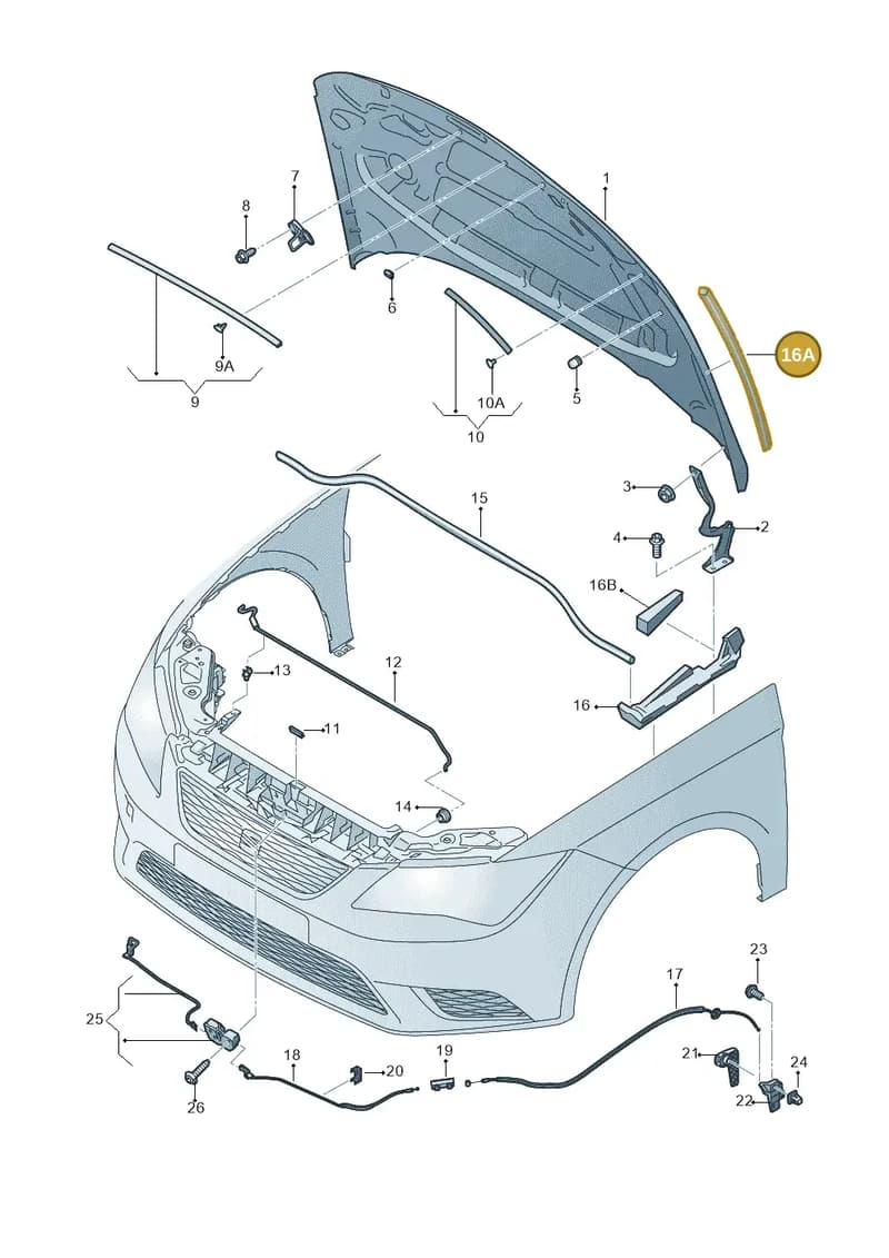 5F0823711A — SEAT Leon ST (2016-2020) diagram 754823000, position 16A