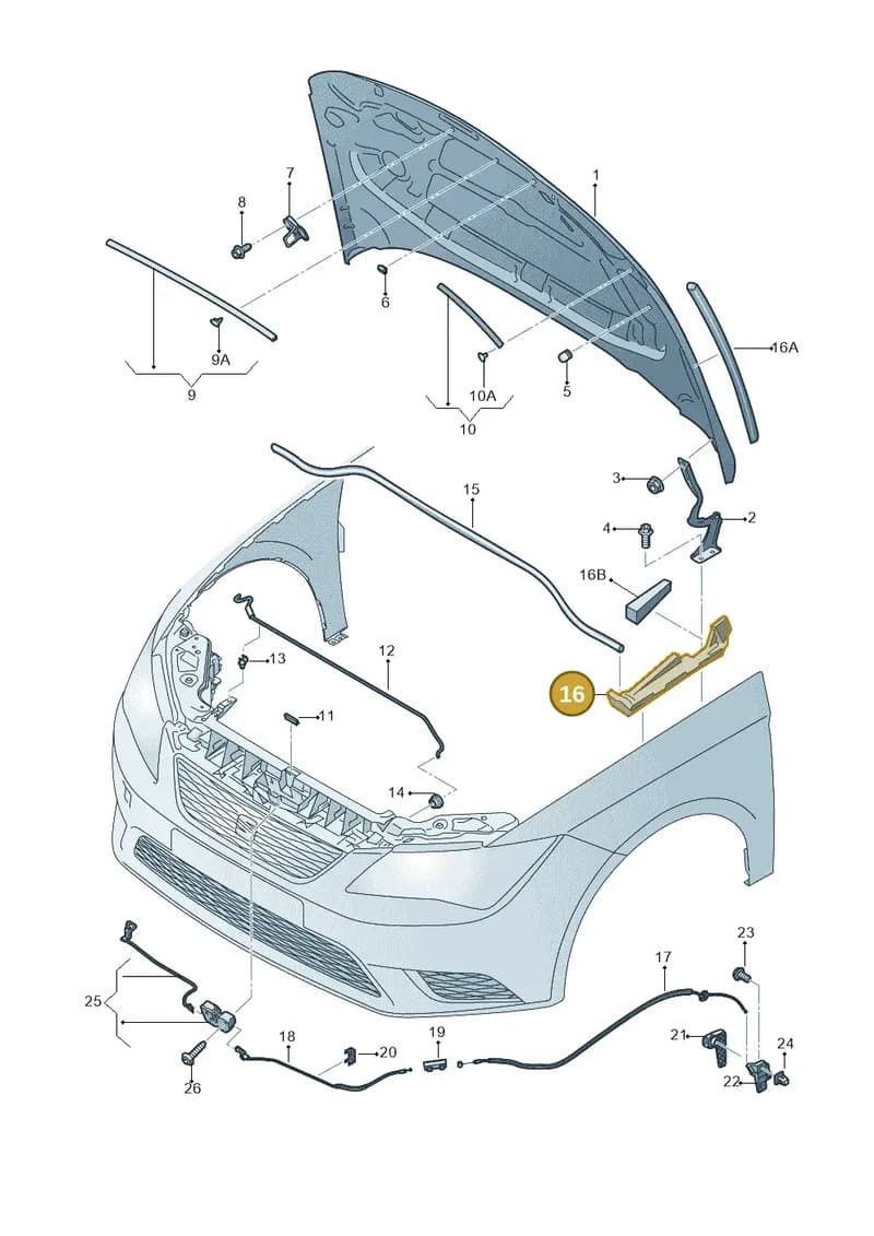 5F0823721A — SEAT Leon ST (2016-2020) diagram 754823000, position 16