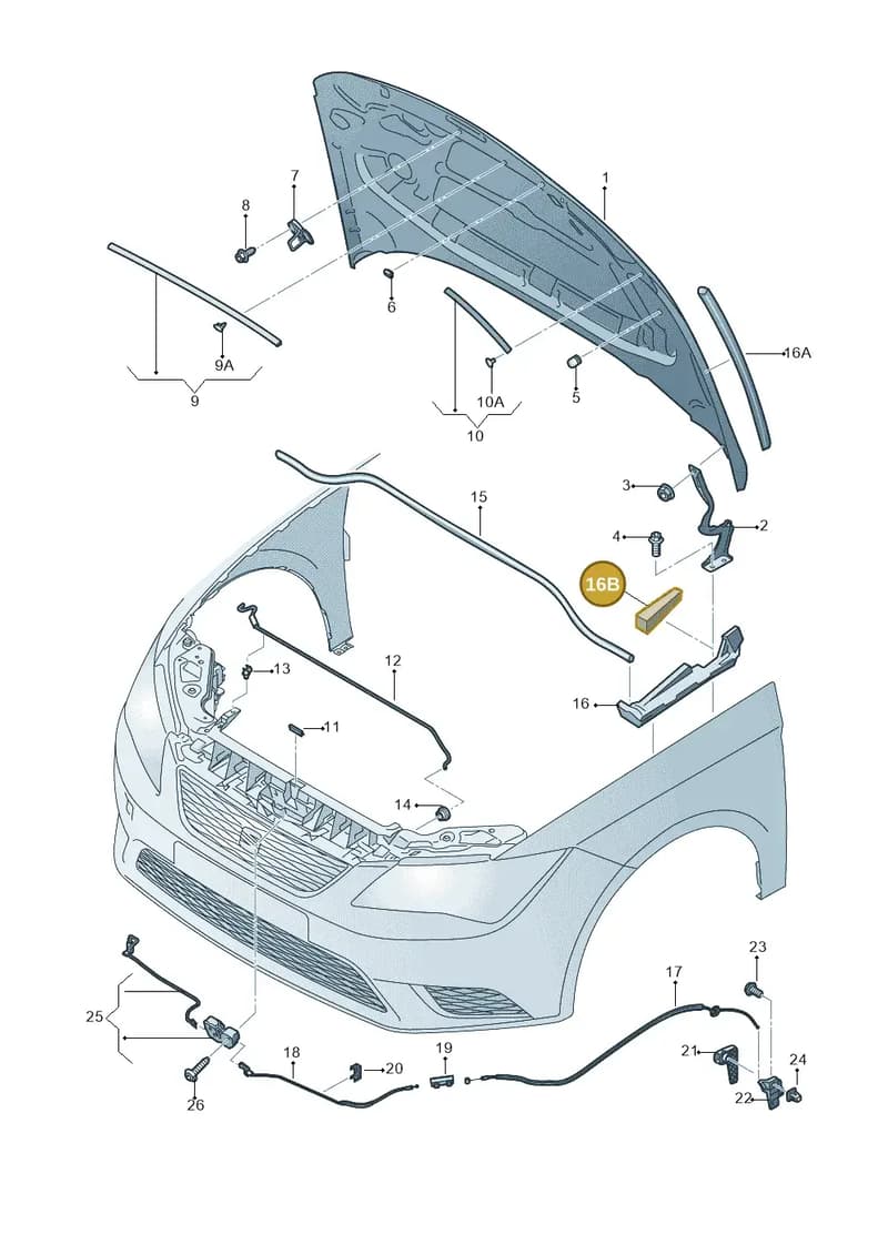 5F0864714 — SEAT Leon ST (2016-2020) diagram 754823000, position 16B