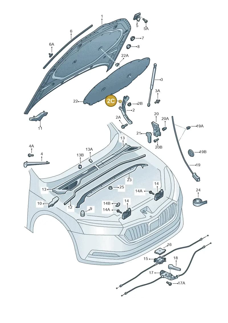 1Z0823429 — Skoda Octavia (2019-2022) diagram 585823000, position 2C