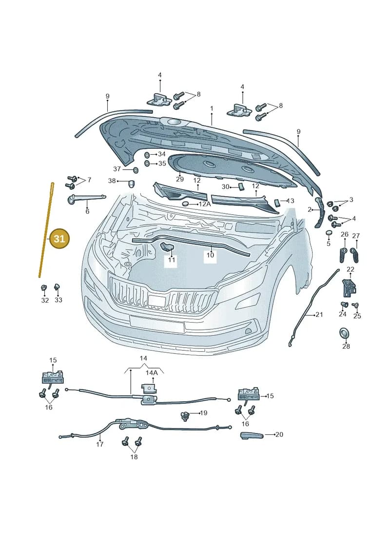 654823363B — Skoda Kamiq (2019-2020) diagram 584823000, position 31