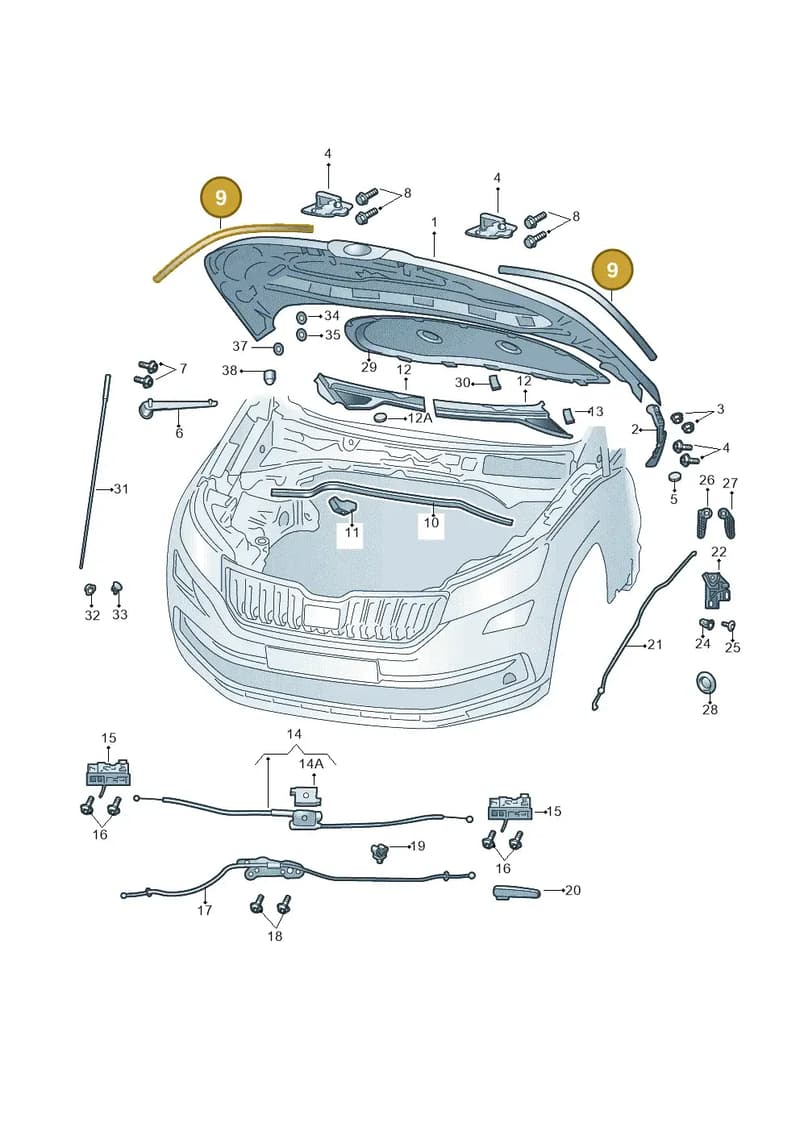 654823707B — Skoda Kamiq (2019-2020) diagram 584823000, position 9