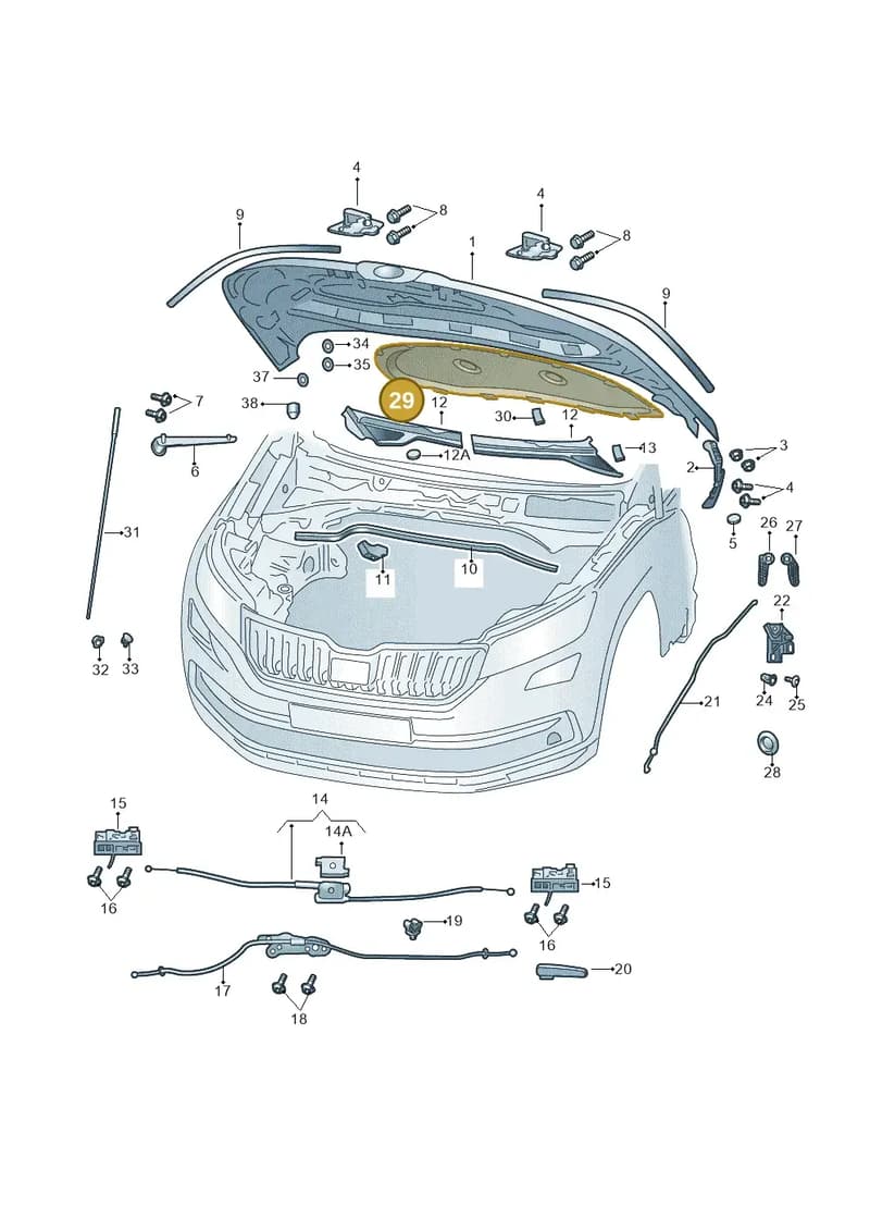 654863831 — Skoda Kamiq (2019-2020) diagram 584823000, position 29