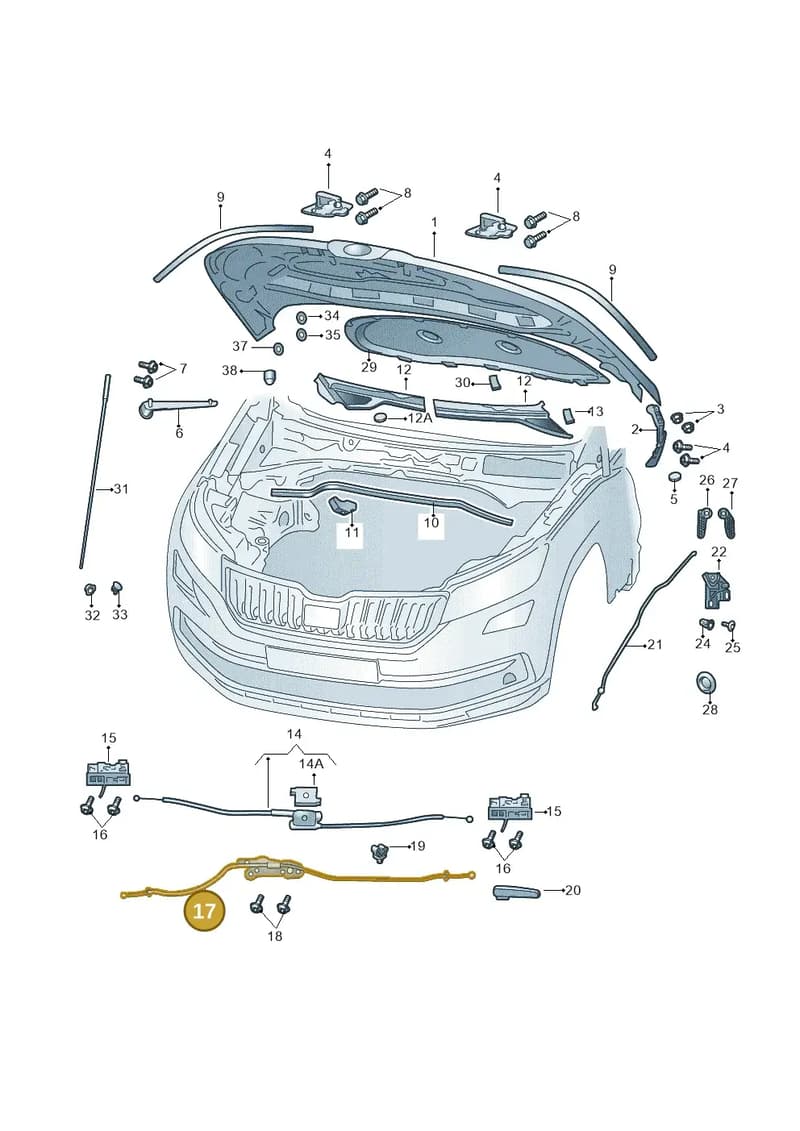 658823529 — Skoda Kamiq (2019-2020) diagram 584823000, position 17