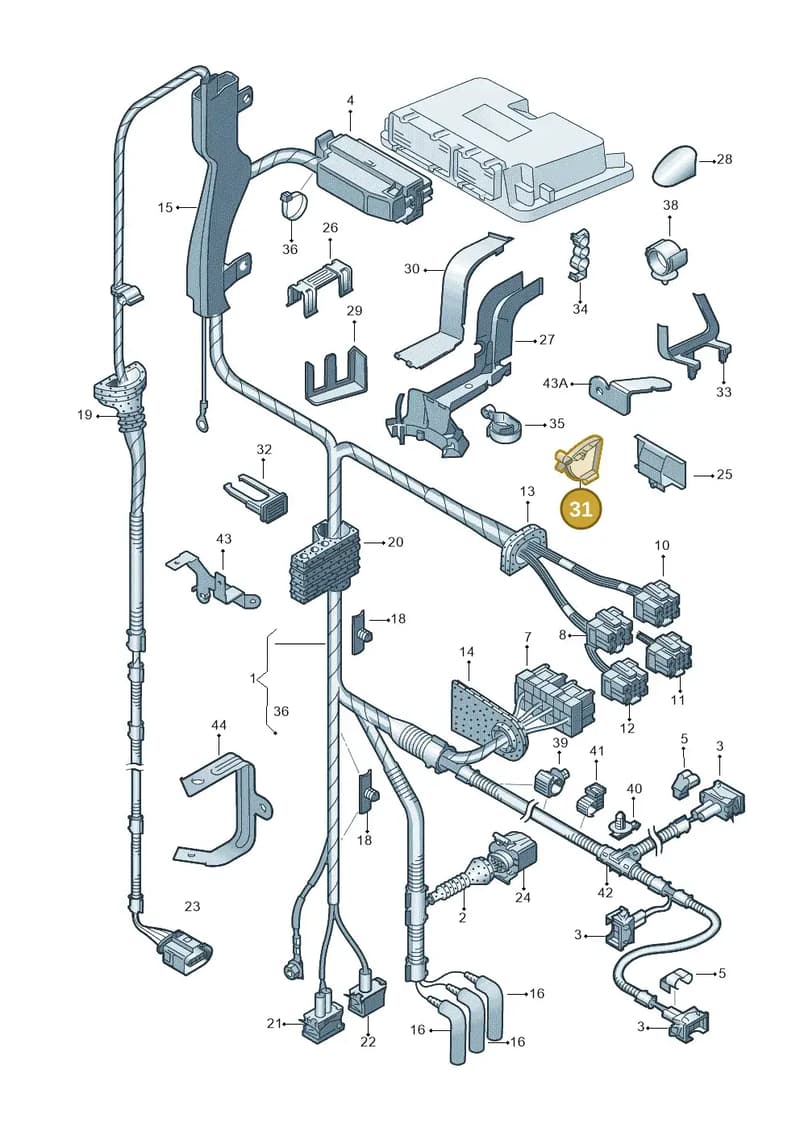 1J0971843C — Audi A3/S3/QUATTRO (2000-2003) diagram 203971300, position 31